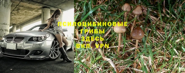 мяу мяу мука Пестово