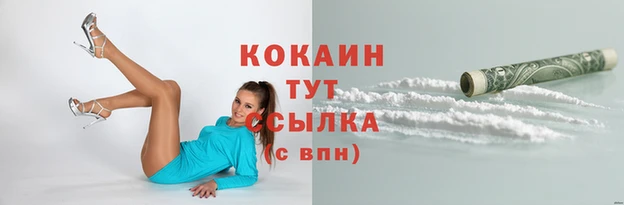 мяу мяу мука Пестово