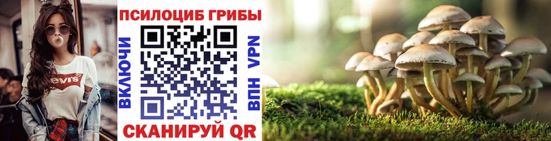 Псилоцибиновые грибы GOLDEN TEACHER  где купить наркоту  Лысково 